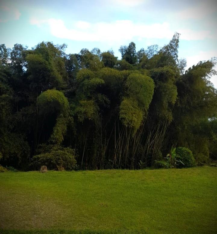 Filandia - Finca Rural La Guadalupana Hotel Екстериор снимка
